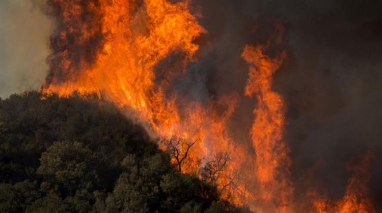 Φοιτητική Ομάδα Δημιούργησε Σύστημα Έγκαιρου Εντοπισμού Πυρκαγιάς